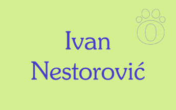 Ivan Nestorović
