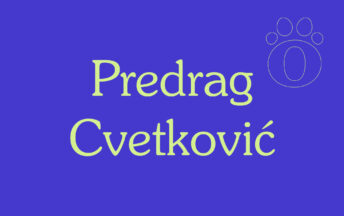 Predrag Cvetković